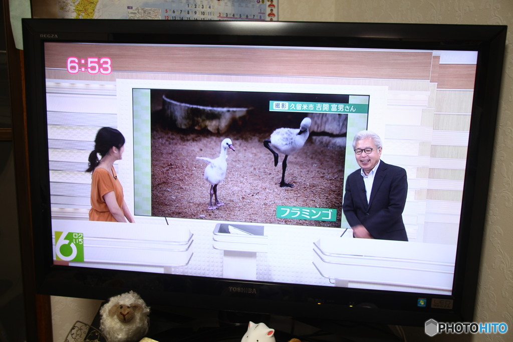 先ほど放送されたとよ