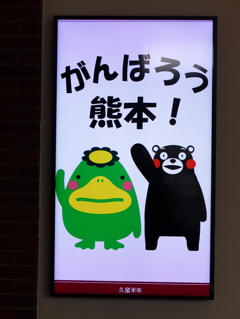 くまもんがんばれ