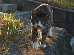 おはよう2