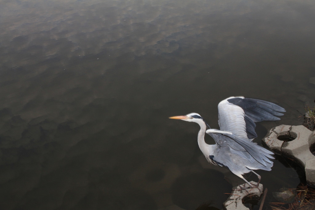 スタンバイ状態