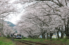 まあ、ゆっくりして