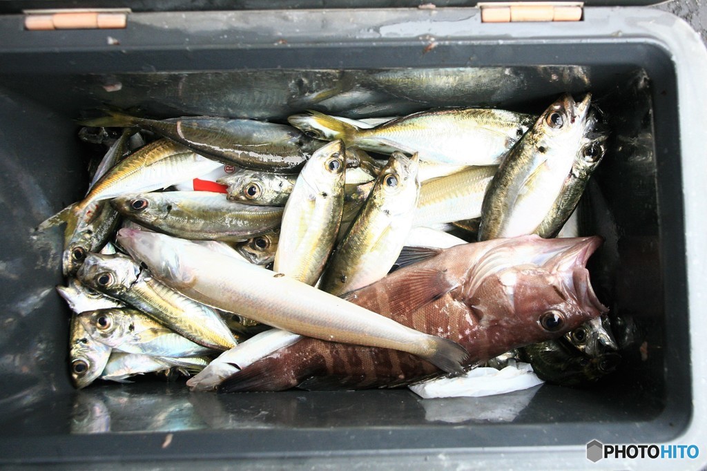 近所へおすそ分け