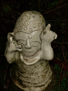 もう少し待ってね