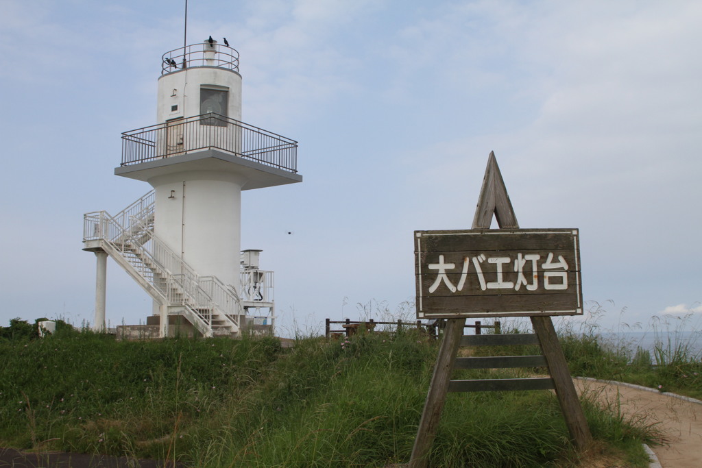 ポケモンいるかな？