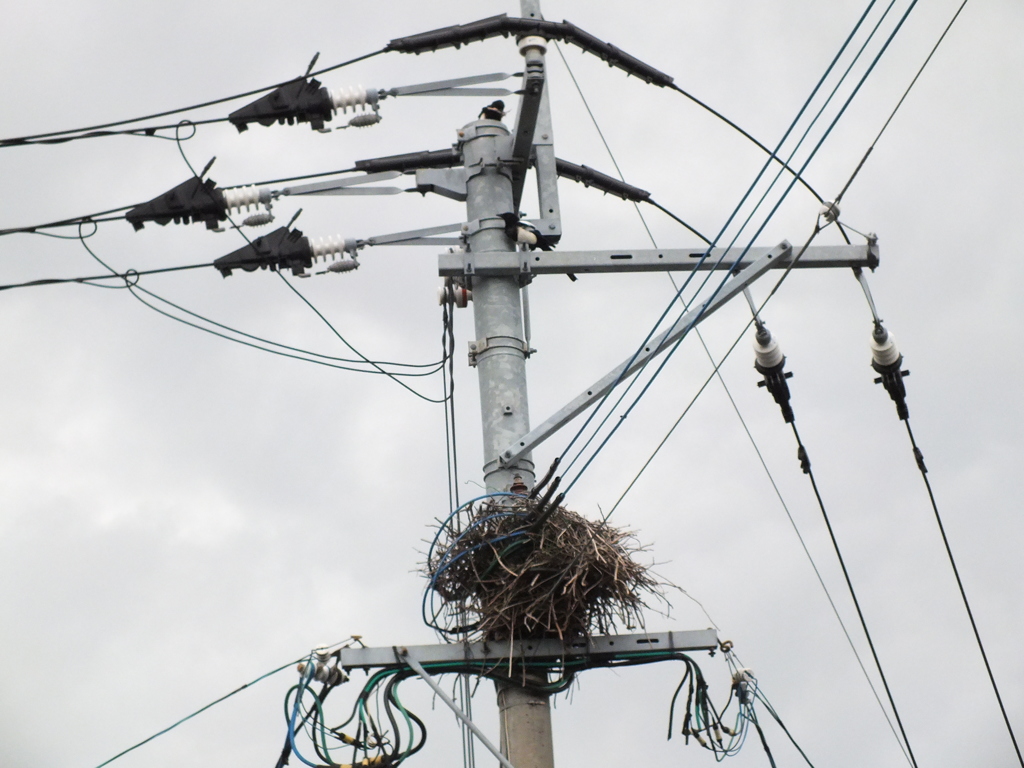 立派な戸建て住宅