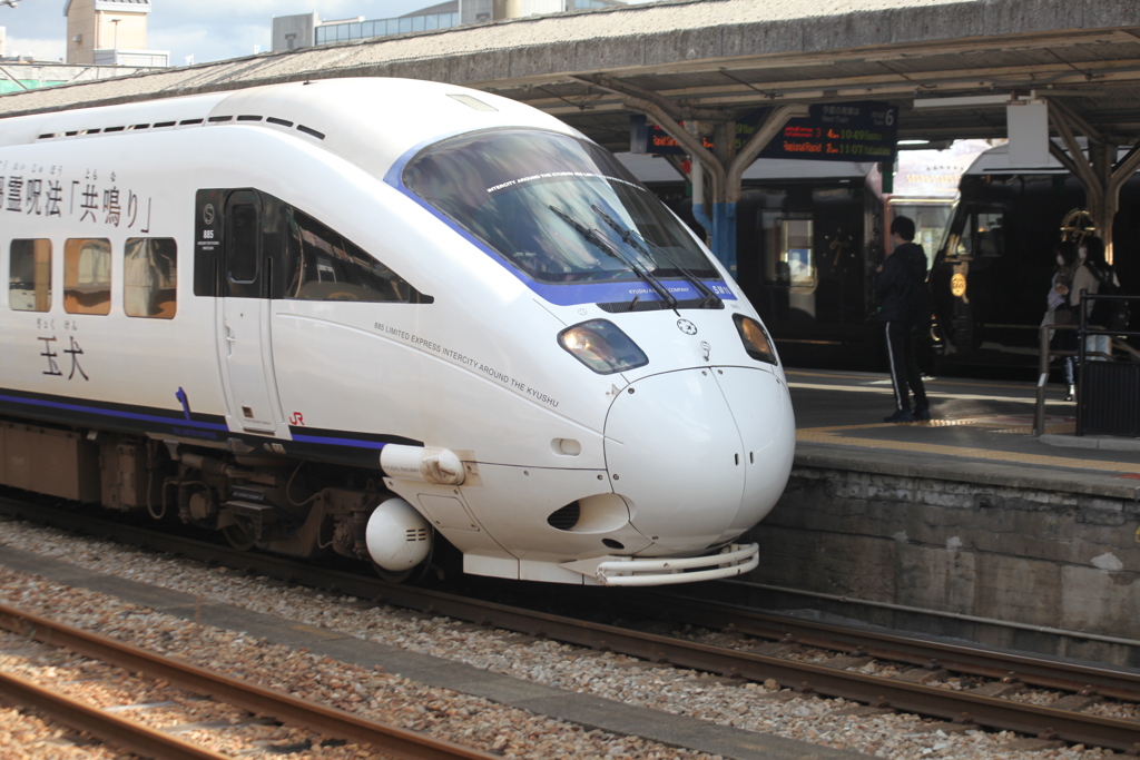 こんな列車です