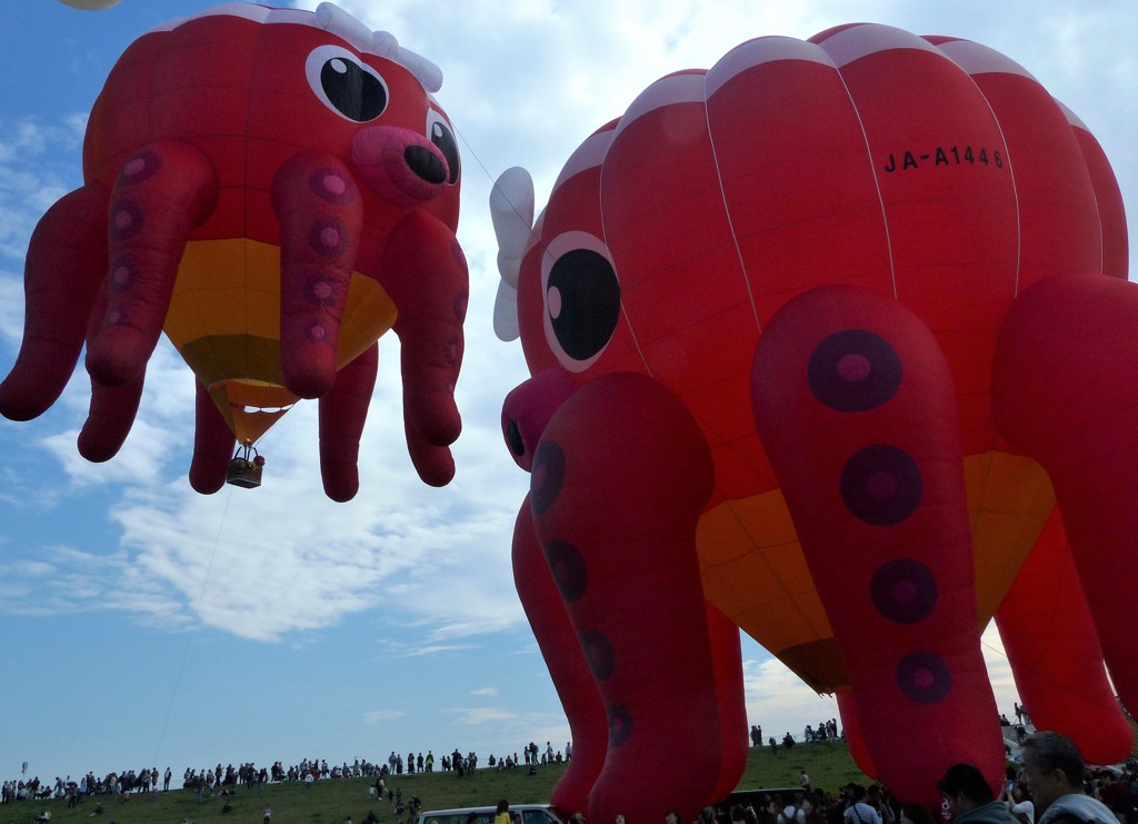 タコタコ上がれ