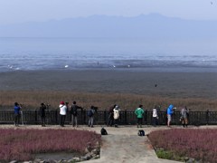 東京ヤング探鳥会の皆さん