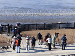 野鳥の会佐賀支部