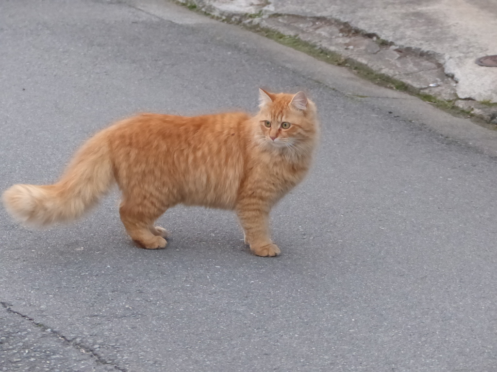 まだ寒いですね