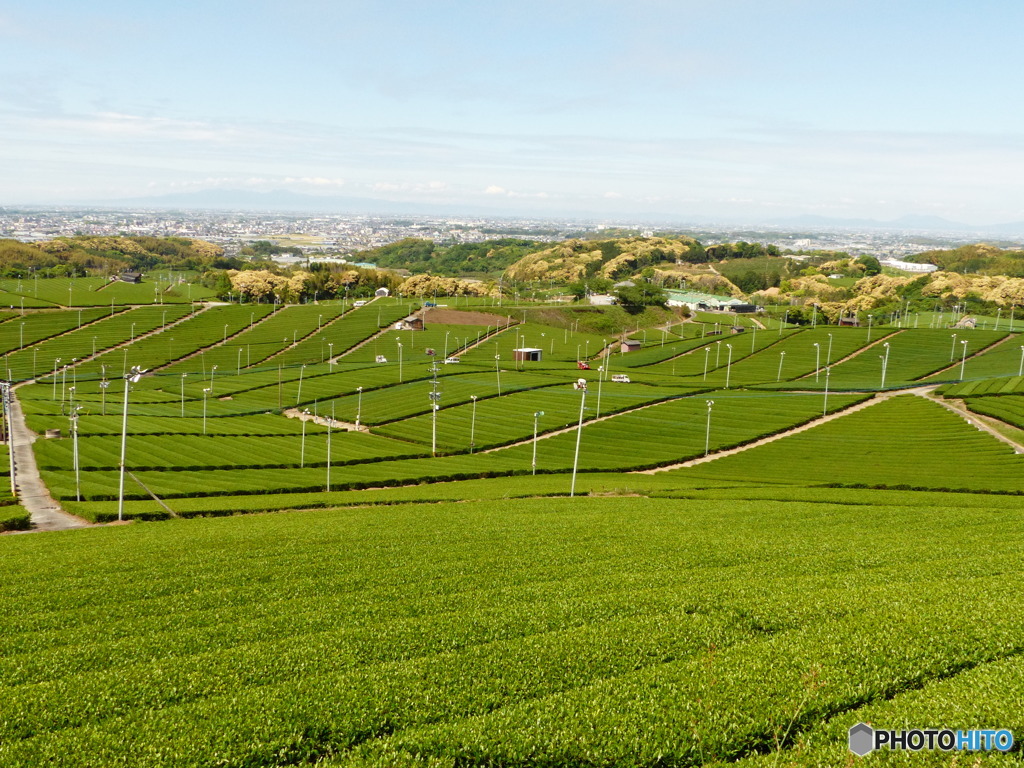 カバーが外れました