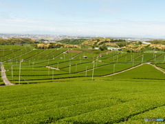 カバーが外れました