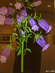 後ろから光当てれば