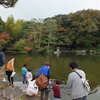 鯉、来い、こい