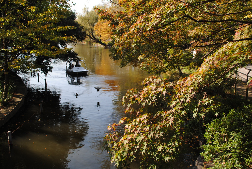 野鳥カメラマンいっぱいいますね