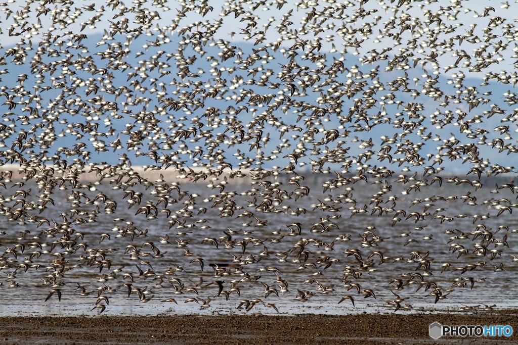 日の当たり方で