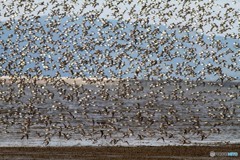 日の当たり方で