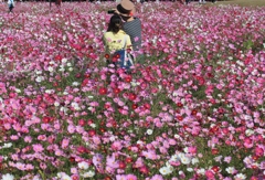 源さん写されてる