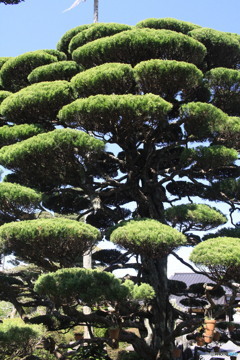 すごいデザイン