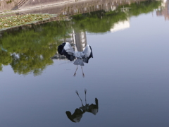 　私が目立たないでしょ。