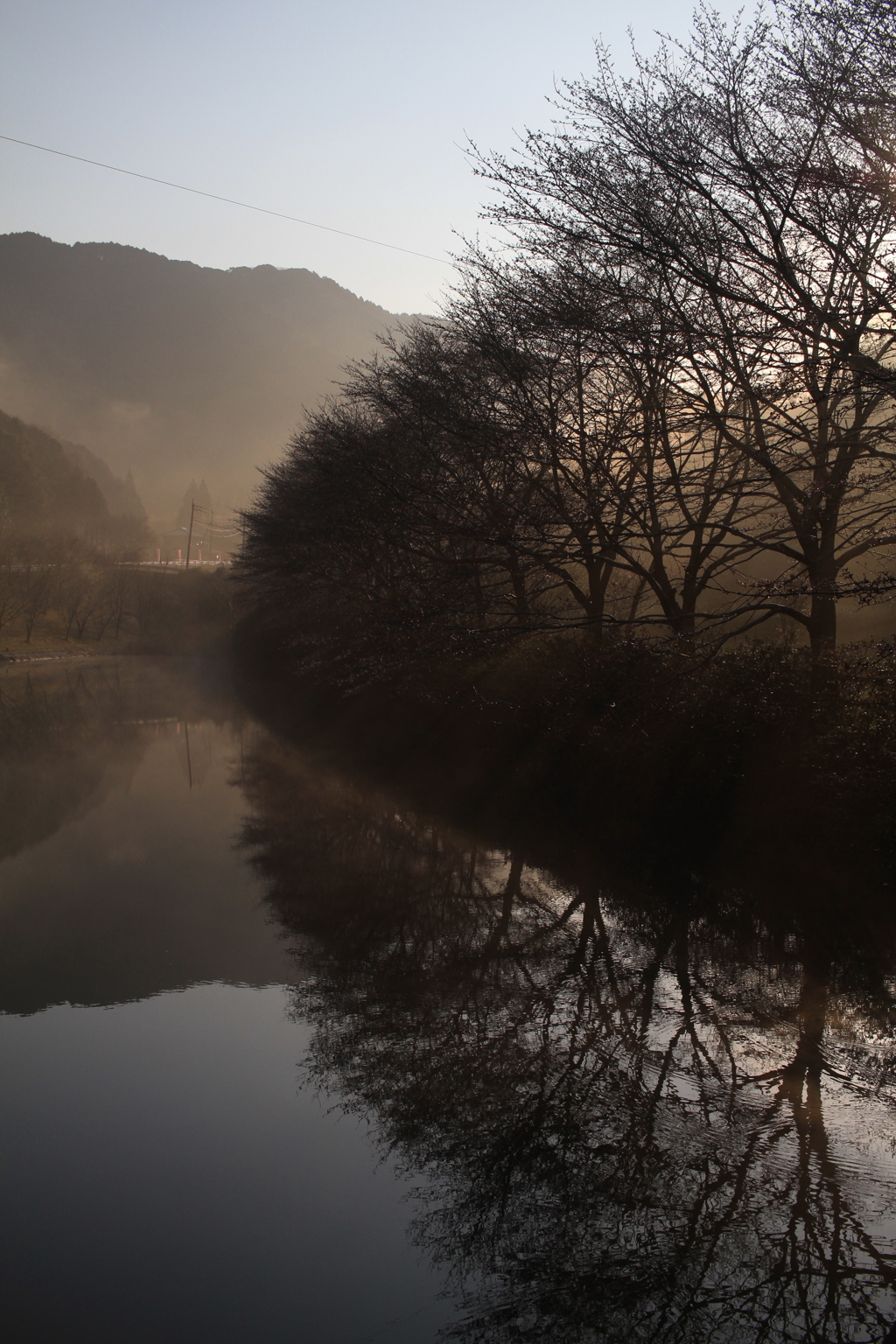早起きはこんな景色が