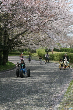 サイクルパーク