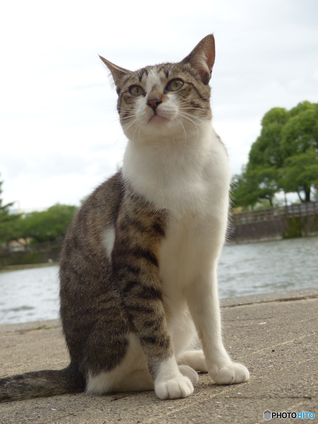 明日の天気は？