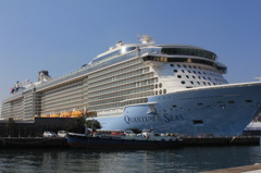 これが動きます