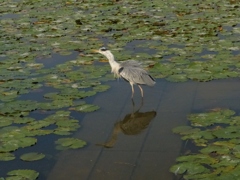 きれいに写してね