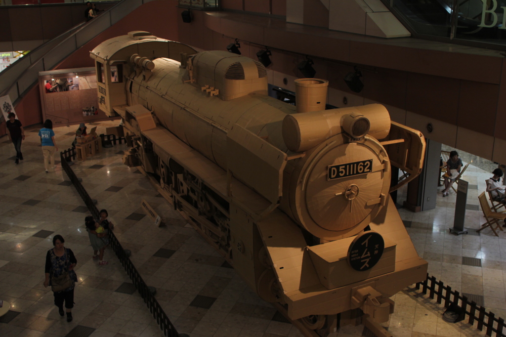 どこから来たのかな