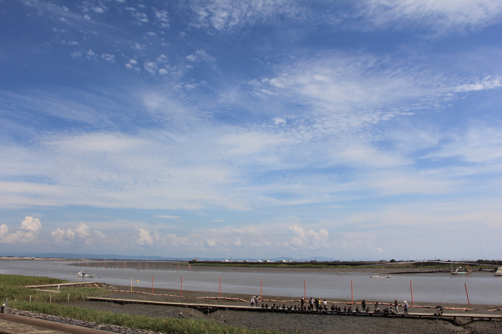 ムツゴロウ体験