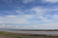 ムツゴロウ体験