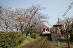 今日は特別料金