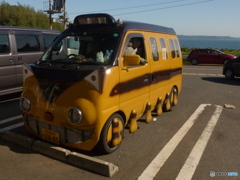 猫が魚を、、、