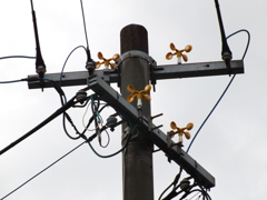 九州電力と知恵比べ