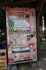 これは飲まなきゃ