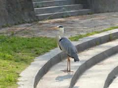 いつまで待たせるの