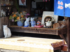 １５日に来てね