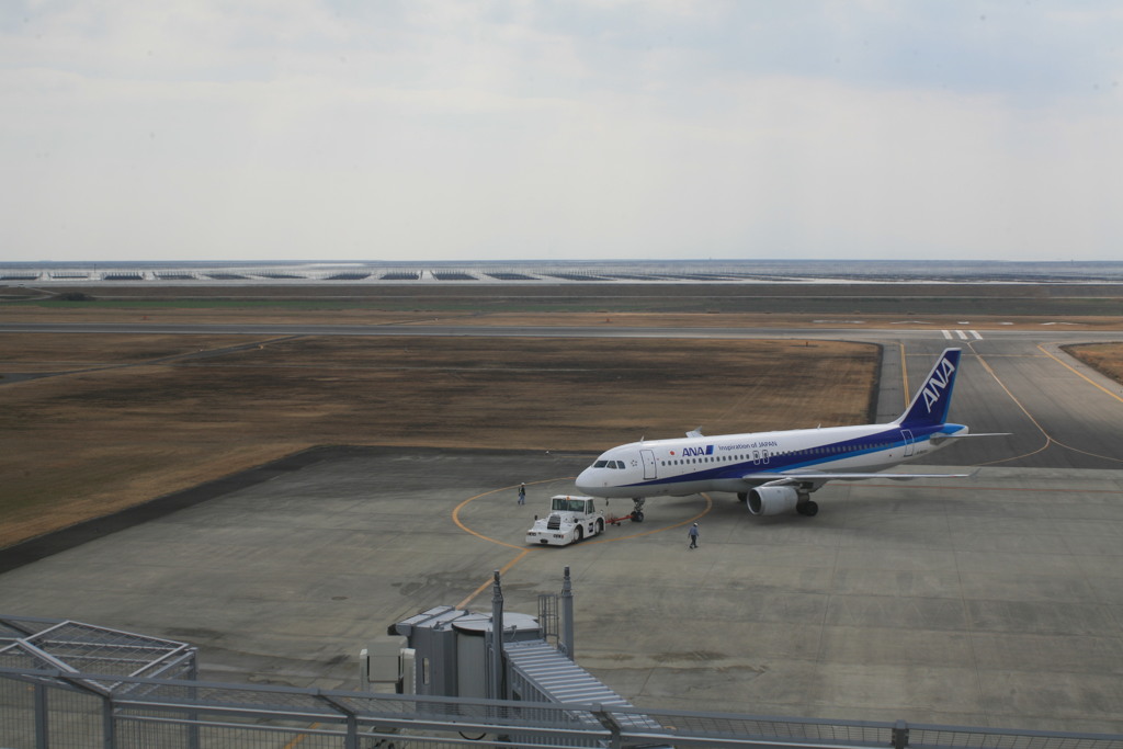 海は海苔ヒビいっぱい
