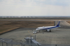 海は海苔ヒビいっぱい