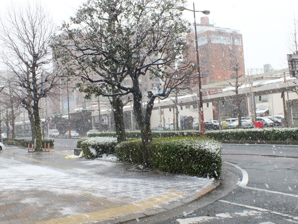 すごい雪？