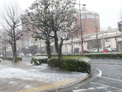 すごい雪？