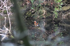 ものすごい警戒