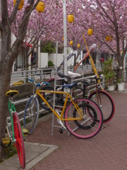 しゃれてますね