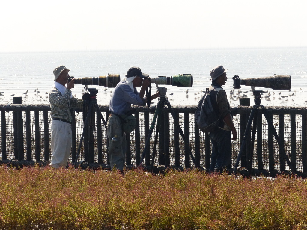 ようこそ佐賀へ