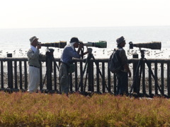 ようこそ佐賀へ