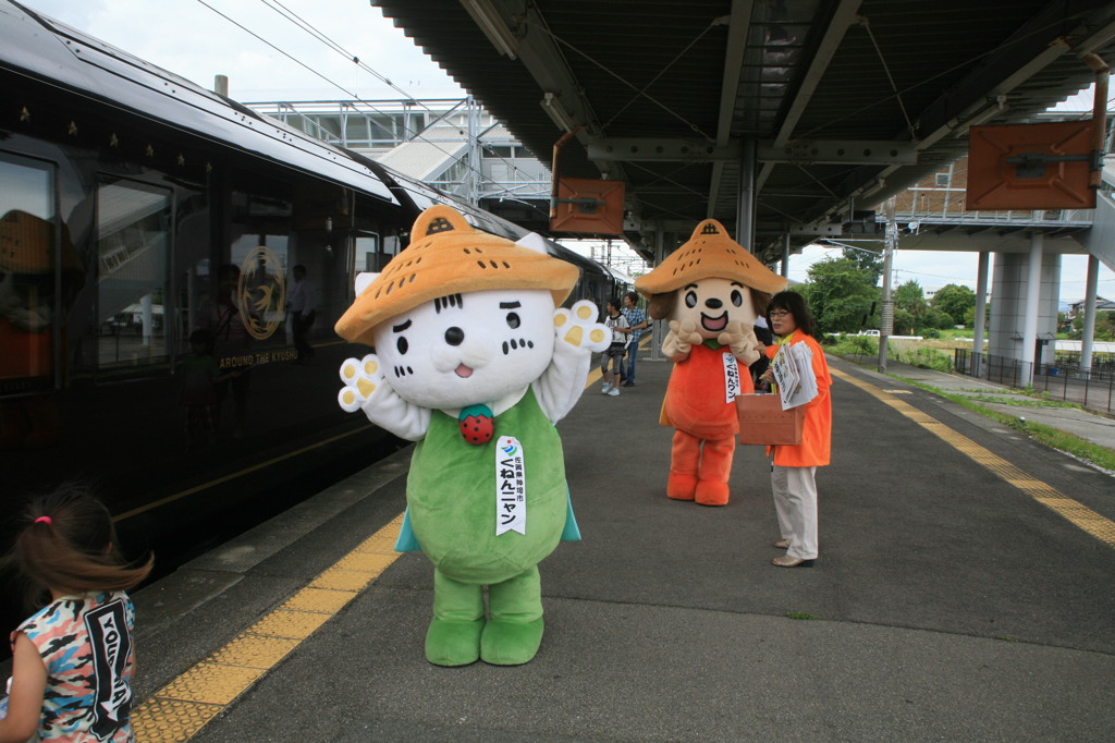 今日は11時だよ