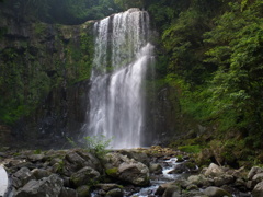 大分天ケ瀬　久大線　桜滝