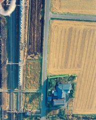 特急さくらだそうですよ