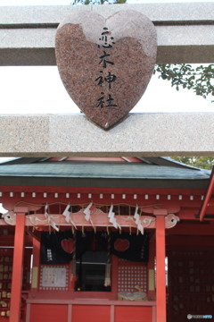皆さんの分も願って